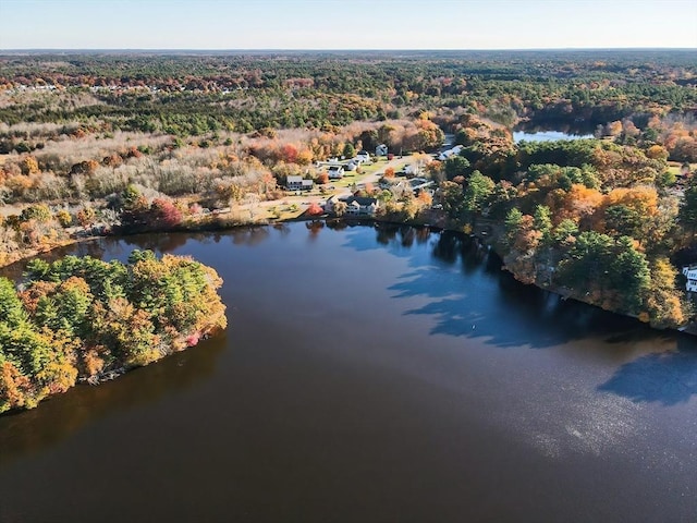 birds eye view of property featuring a water view and a wooded view