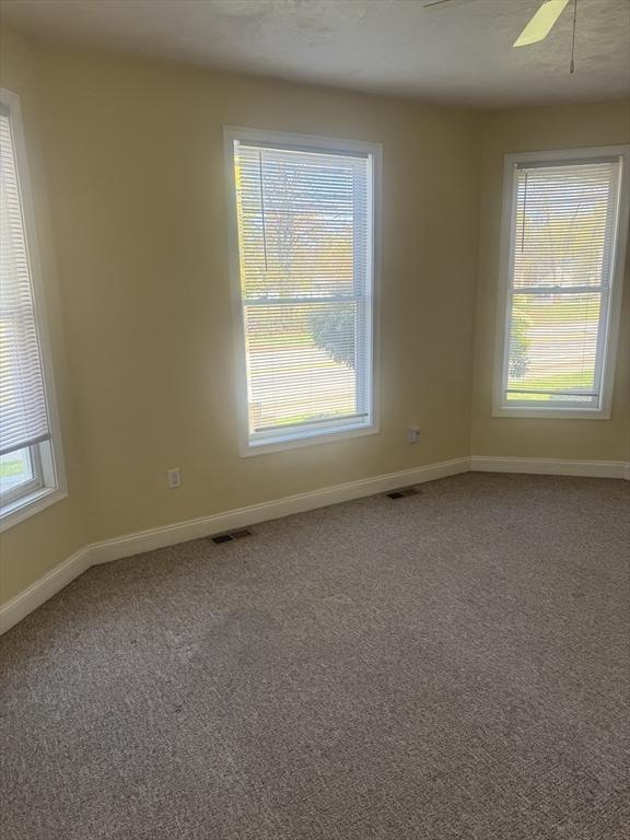 carpeted empty room featuring a wealth of natural light, visible vents, and baseboards