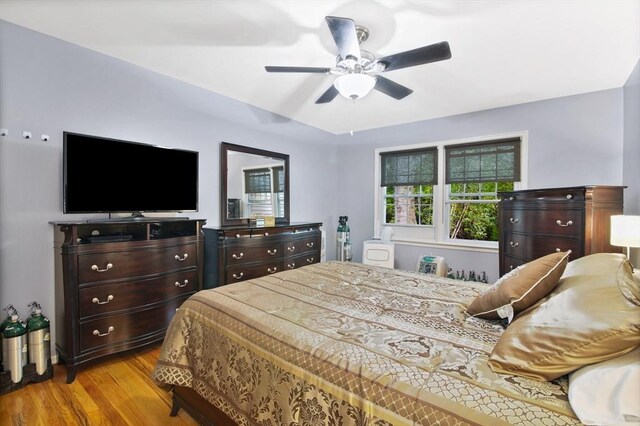 80 Brush Hill Ave Unit 33, West Springfield, MA 01089 - bedroom featuring light wood-type flooring and ceiling fan