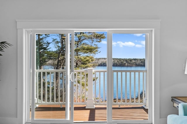 entryway with a water view and a healthy amount of sunlight