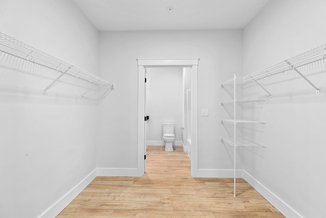 spacious closet with light hardwood / wood-style floors