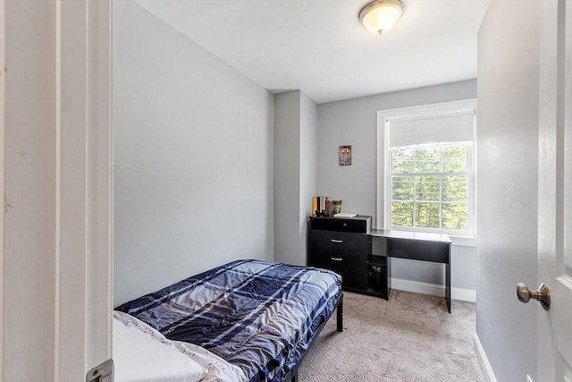 131 Great Rd, Shirley, MA 01464 - bedroom with carpet and baseboards