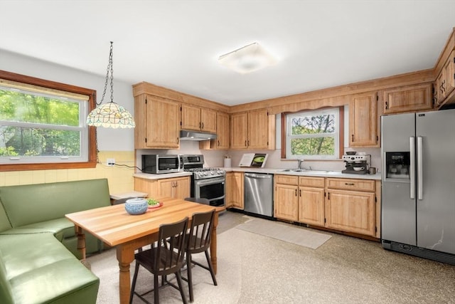 35 Bemis St, Weston, MA 02493 - kitchen with appliances with stainless steel finishes, under cabinet range hood, a sink, and light countertops
