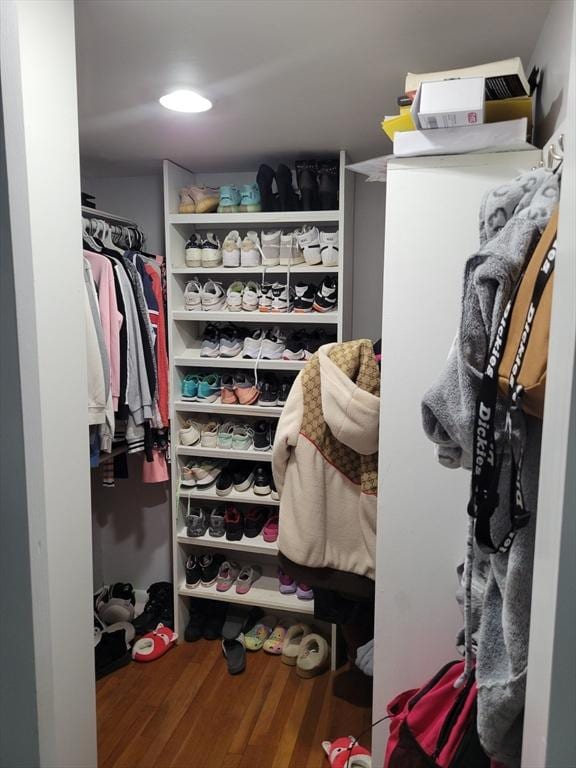 spacious closet featuring wood finished floors