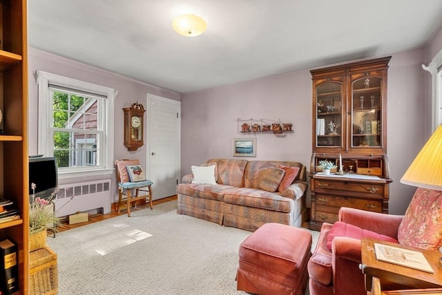52 Harding Rd, Lexington, MA 02420 - living area featuring radiator