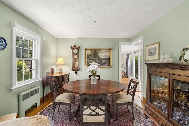 52 Harding Rd, Lexington, MA 02420 - dining room with radiator heating unit, wood finished floors, healthy amount of natural light, and a glass covered fireplace