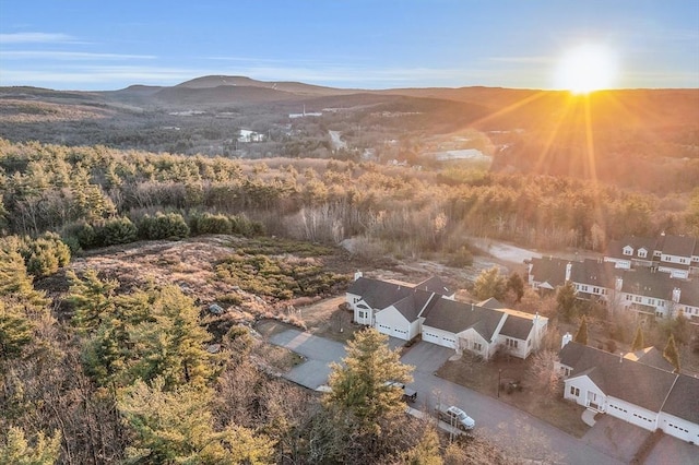 aerial view with a mountain view