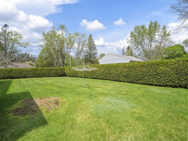 view of green lawn
