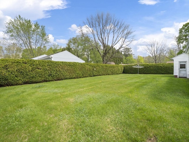 view of grassy yard