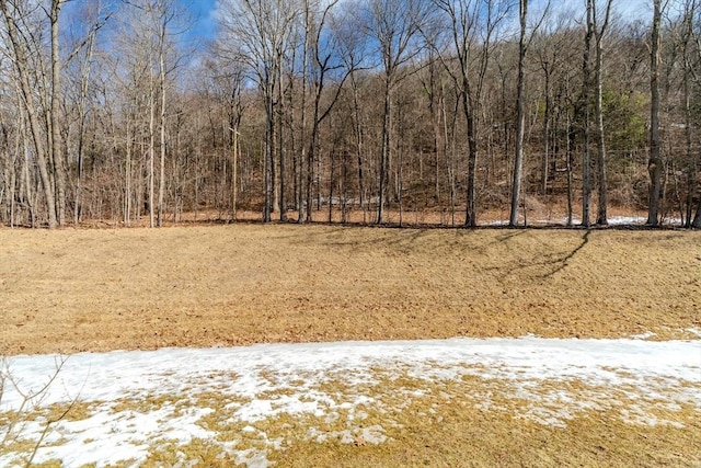 view of yard with a wooded view