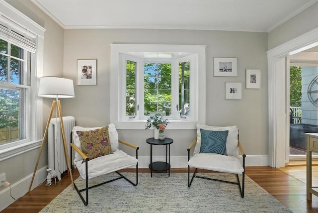 31 Dudley St, North Andover, MA 01845 - living area with radiator heating unit, healthy amount of natural light, wood finished floors, and ornamental molding