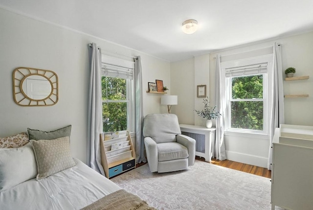 31 Dudley St, North Andover, MA 01845 - bedroom featuring multiple windows, wood finished floors, and radiator heating unit