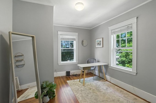 31 Dudley St, North Andover, MA 01845 - office with radiator, crown molding, and dark wood finished floors