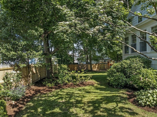 31 Dudley St, North Andover, MA 01845 - view of yard