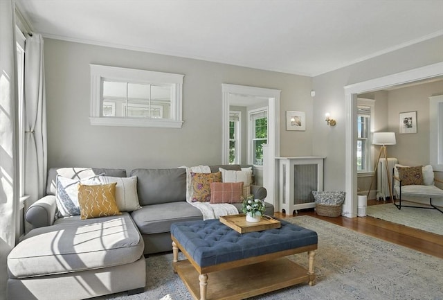 31 Dudley St, North Andover, MA 01845 - living room with wood finished floors and crown molding