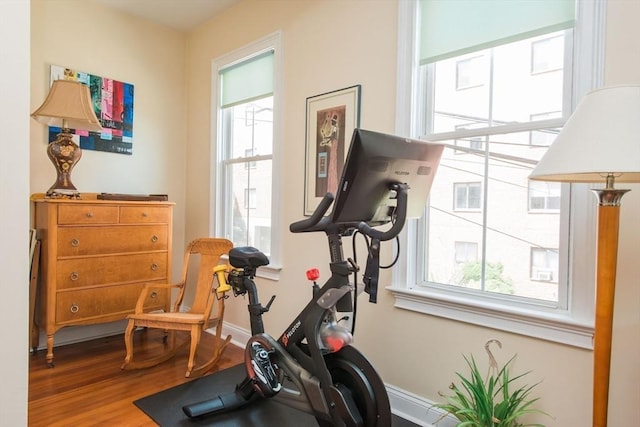 workout area featuring baseboards, wood finished floors, and a wealth of natural light