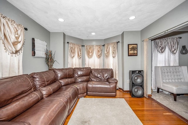 living room with light wood finished floors, a healthy amount of sunlight, and recessed lighting