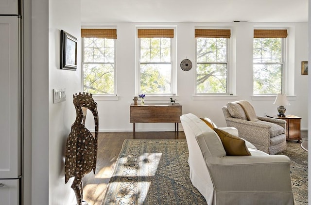 sitting room featuring hardwood / wood-style floors