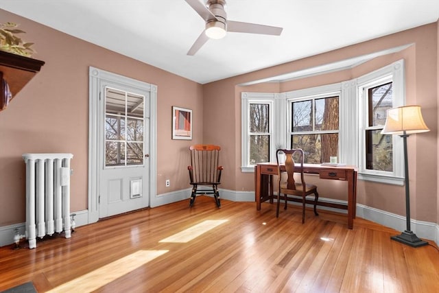 living area with radiator heating unit, ceiling fan, and light hardwood / wood-style flooring