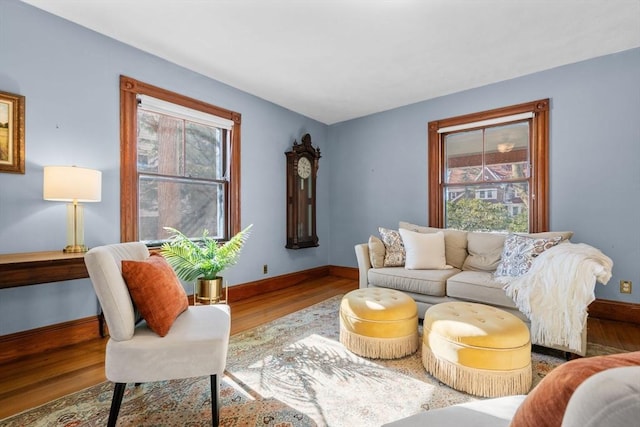 living room featuring hardwood / wood-style flooring