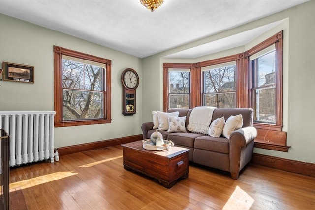 living room with radiator and light wood-type flooring