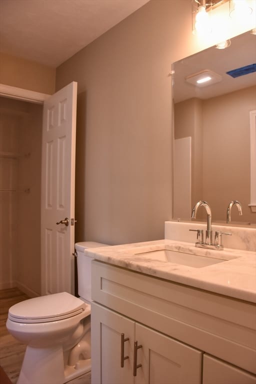 bathroom with toilet and vanity