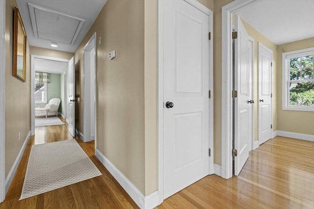 61 Colonial Dr, Arlington, MA 02474 - hallway featuring attic access and light wood finished floors