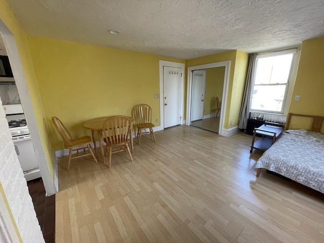 74 Newhall Unit 9, Lynn, MA 01902 - dining room with light wood-type flooring, a textured ceiling, and baseboards