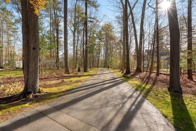 33 Lilli Way, Easton, MA 02375
