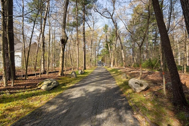 33 Lilli Way, Easton, MA 02375