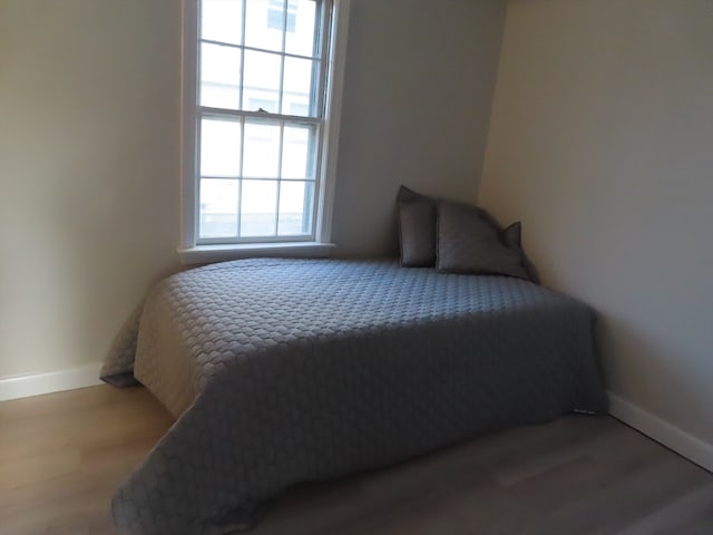 bedroom featuring wood-type flooring and multiple windows