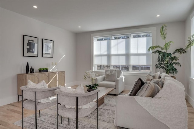 living room featuring light hardwood / wood-style floors