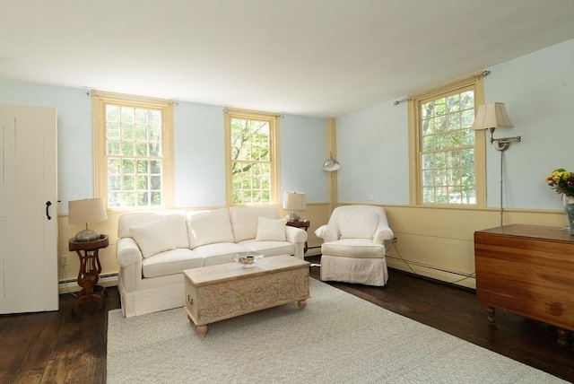 391 Brookfield Rd, Brimfield, MA 01010 - living room with a baseboard heating unit, hardwood / wood-style floors, and baseboard heating