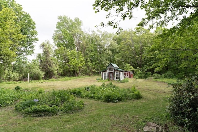 391 Brookfield Rd, Brimfield, MA 01010 - view of green lawn with an outdoor structure and a forest view