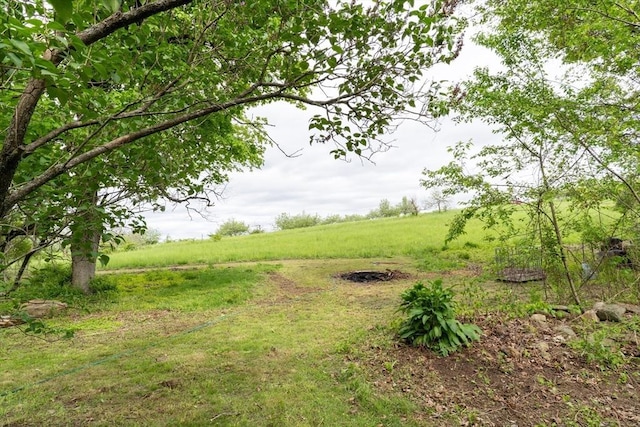 391 Brookfield Rd, Brimfield, MA 01010 - view of yard