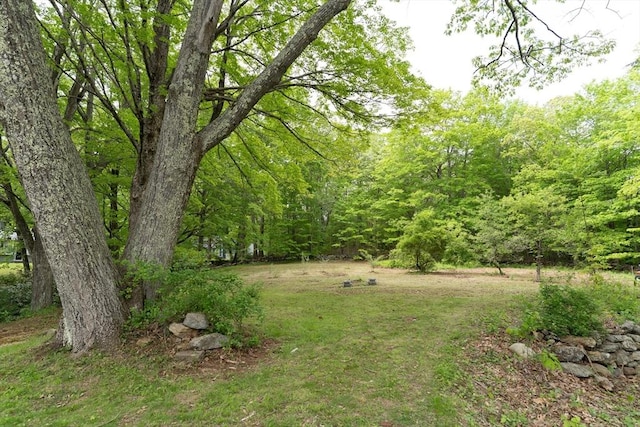 391 Brookfield Rd, Brimfield, MA 01010 - view of yard with a forest view