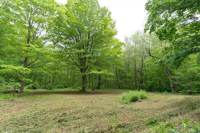 391 Brookfield Rd, Brimfield, MA 01010 - view of wooded area