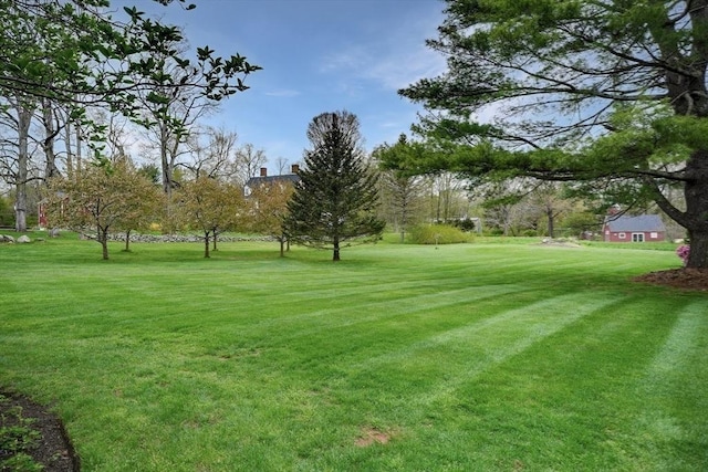 view of community featuring a lawn