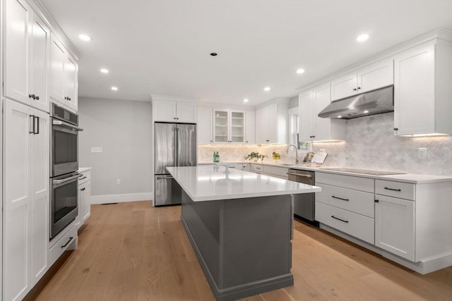 137-139 Crafts St, Newton, MA 02460 - kitchen with appliances with stainless steel finishes, under cabinet range hood, light wood-style flooring, a sink, and backsplash