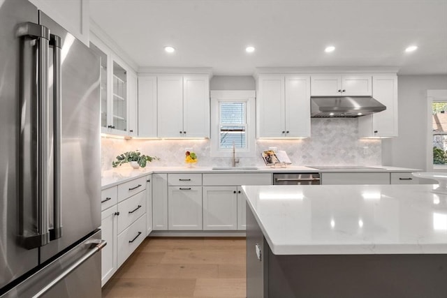 137-139 Crafts St, Newton, MA 02460 - kitchen featuring stainless steel appliances, under cabinet range hood, healthy amount of natural light, light wood-style flooring, and recessed lighting