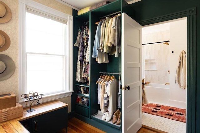 26 Moultrie St Unit 26, Boston, MA 02124 - view of closet