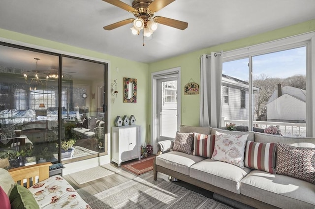 living room featuring ceiling fan with notable chandelier and hardwood / wood-style floors