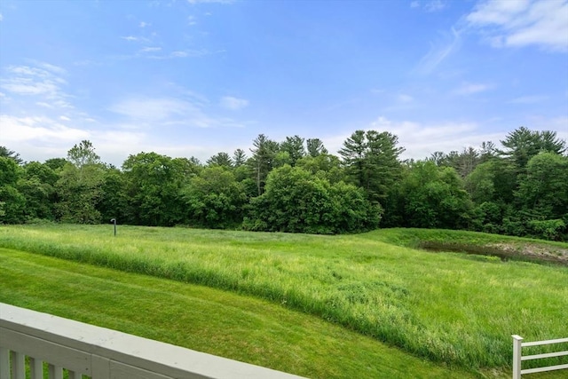 32 Old Framingham Rd Unit 34, Sudbury, MA 01776 - view of yard featuring a forest view