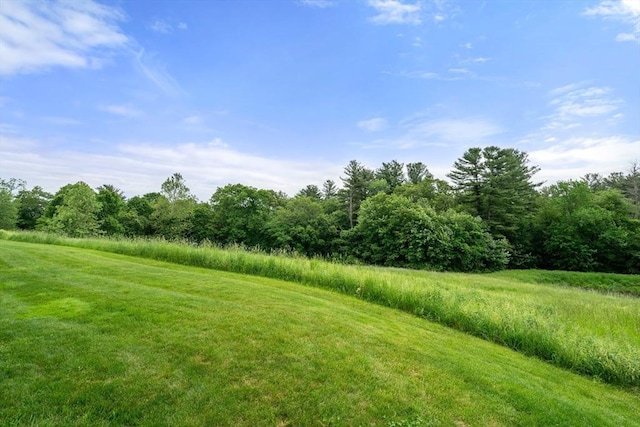 32 Old Framingham Rd Unit 34, Sudbury, MA 01776 - view of yard with a view of trees