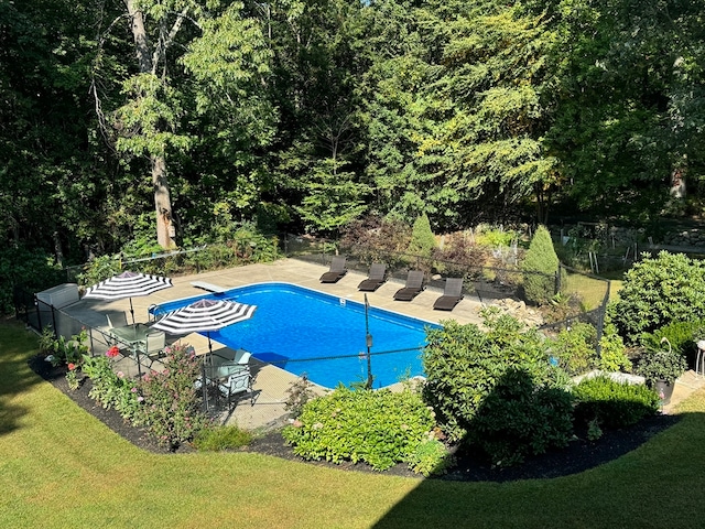 view of pool featuring a patio area and a yard