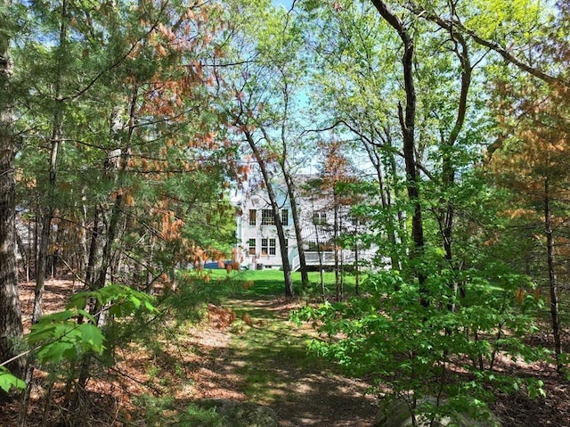 view of property's community with a wooded view