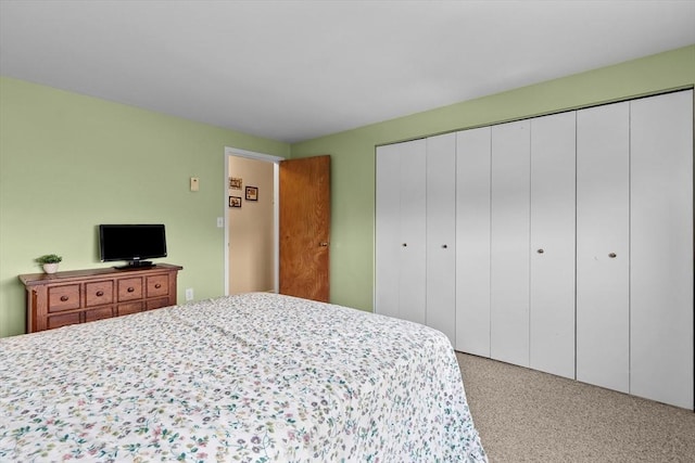 1321 Worcester Rd Unit 605, Framingham, MA 01701 - bedroom with a closet and carpet