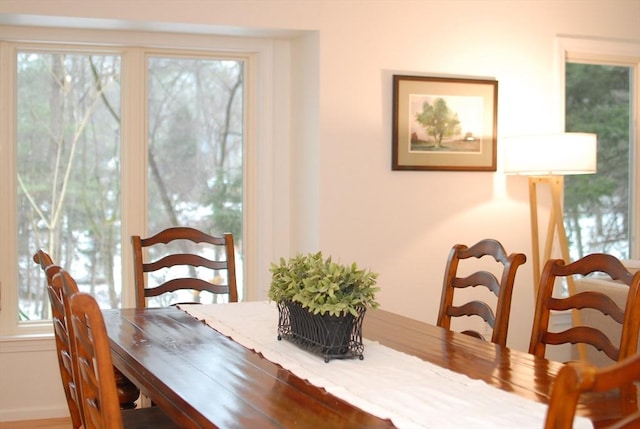 dining space featuring a wealth of natural light