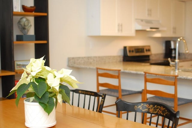 kitchen with white cabinetry, stainless steel electric range oven, sink, and range hood