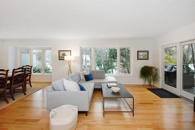 living room with a healthy amount of sunlight and light wood-type flooring